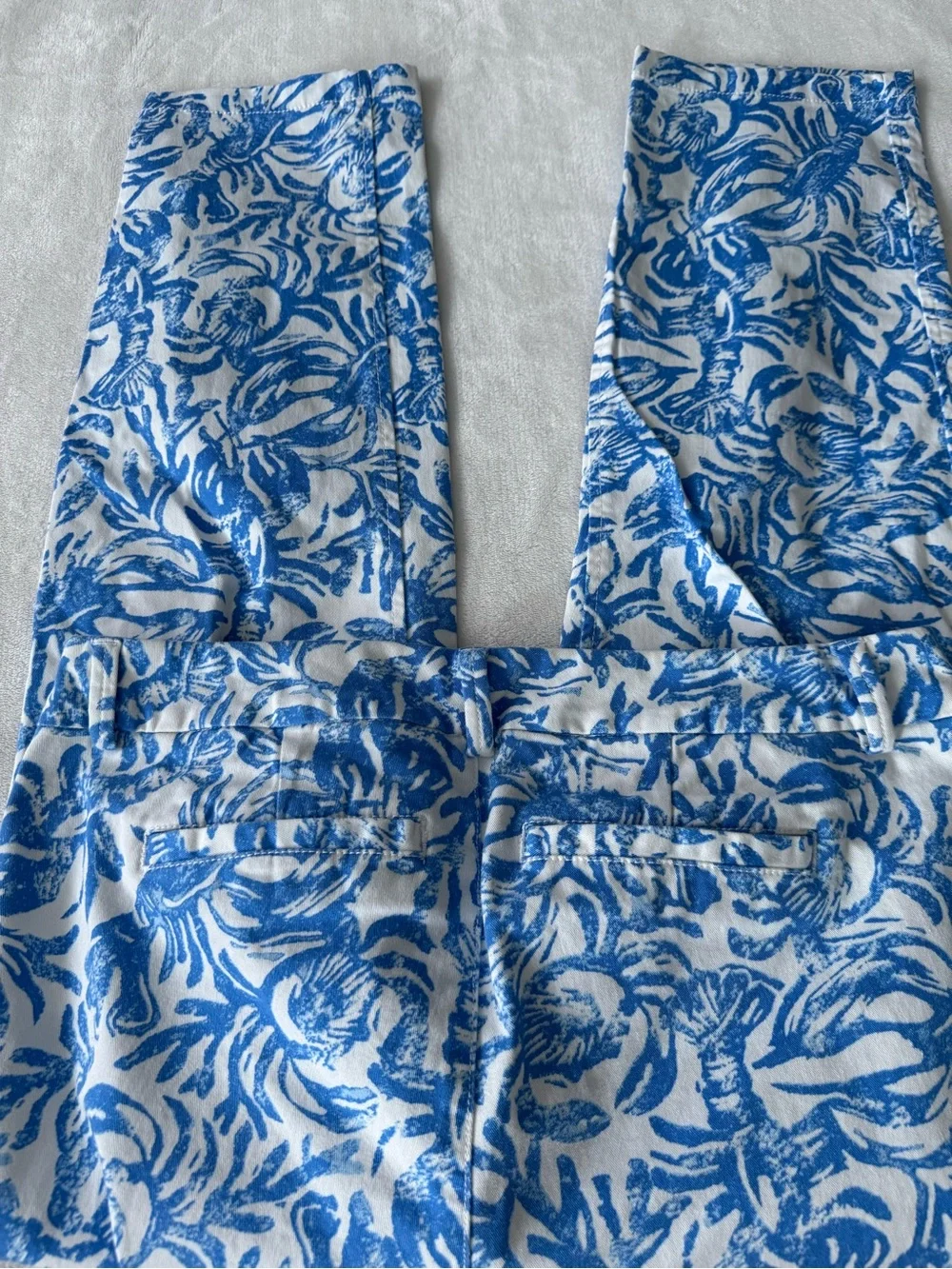 Lilly Pulitzer Sadie Stretch Crop Chino pants in a blue and white Size 10 E01
